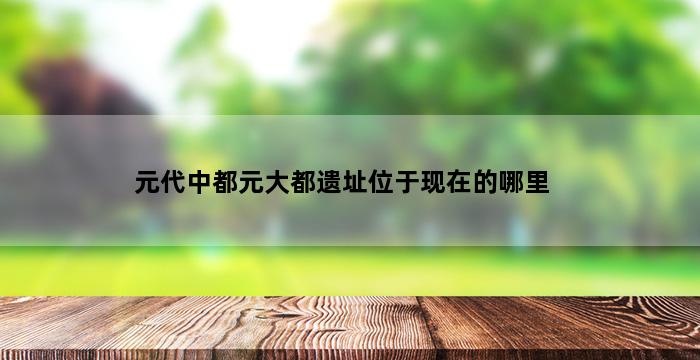 元代中都元大都遗址位于现在的哪里 