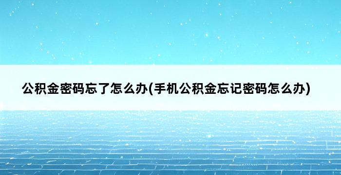 公积金密码忘了怎么办(手机公积金忘记密码怎么办) 