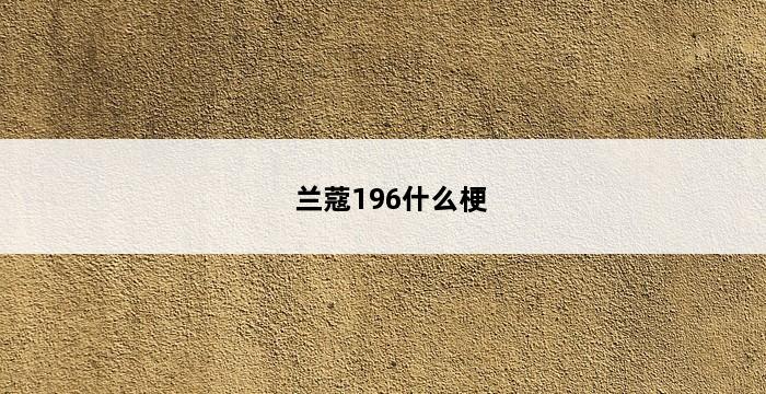 兰蔻196什么梗 