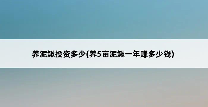 养泥鳅投资多少(养5亩泥鳅一年赚多少钱) 