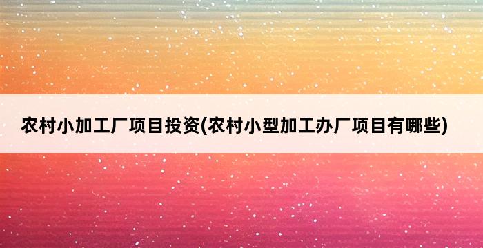 农村小加工厂项目投资(农村小型加工办厂项目有哪些) 