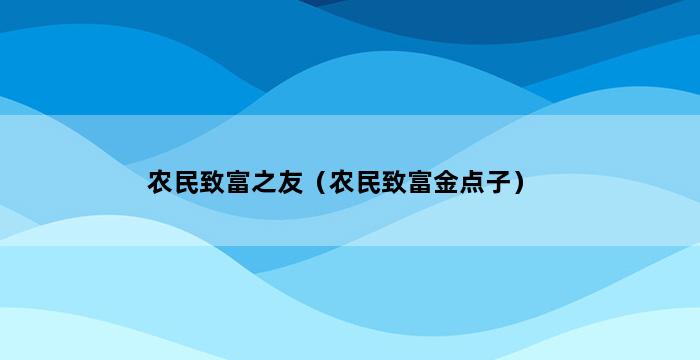 农民致富之友（农民致富金点子） 