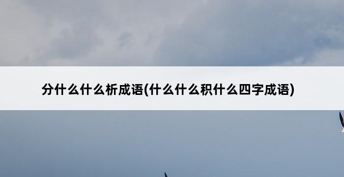 分什么什么析成语(什么什么积什么四字成语) 