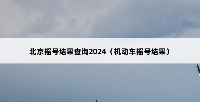 北京摇号结果查询2024（机动车摇号结果） 