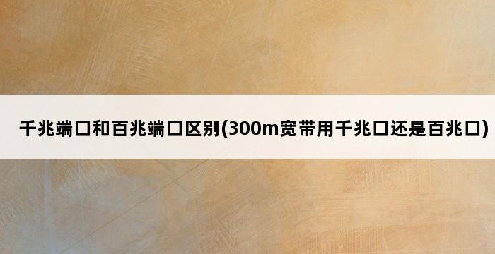 千兆端口和百兆端口区别(300m宽带用千兆口还是百兆口) 