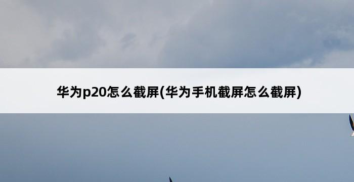 华为p20怎么截屏(华为手机截屏怎么截屏) 