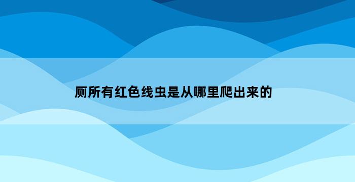 厕所有红色线虫是从哪里爬出来的 