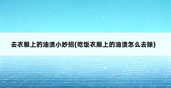 去衣服上的油渍小妙招(吃饭衣服上的油渍怎么去除) 