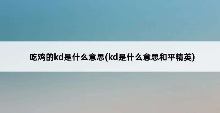 吃鸡的kd是什么意思(kd是什么意思和平精英) 