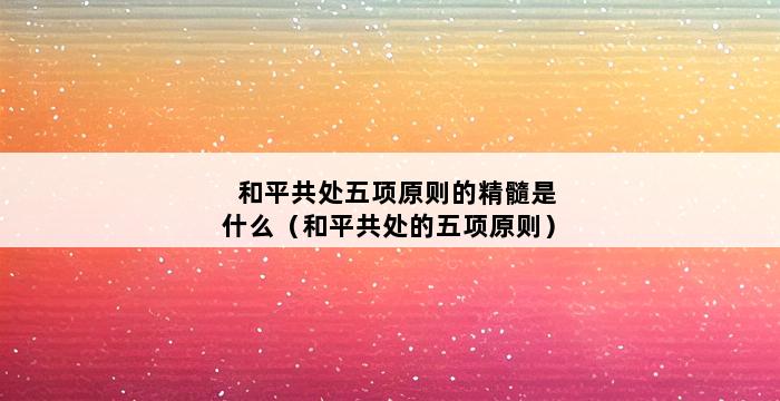 和平共处五项原则的精髓是什么（和平共处的五项原则） 