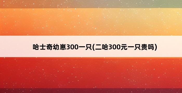 哈士奇幼崽300一只(二哈300元一只贵吗) 