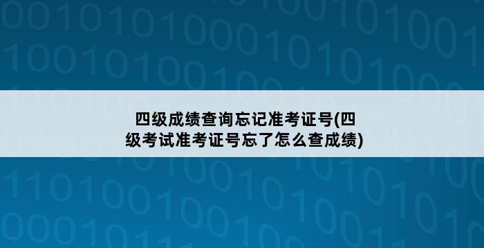 四级成绩查询忘记准考证号(四级考试准考证号忘了怎么查成绩) 