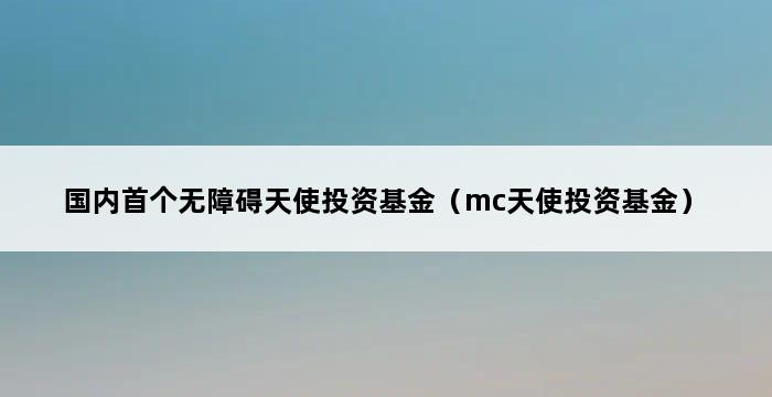 国内首个无障碍天使投资基金（mc天使投资基金） 