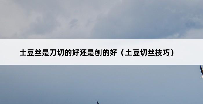 土豆丝是刀切的好还是刨的好（土豆切丝技巧） 