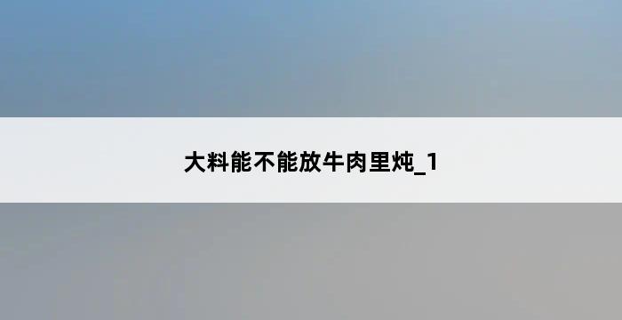 大料能不能放牛肉里炖_1 