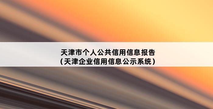 天津市个人公共信用信息报告（天津企业信用信息公示系统） 