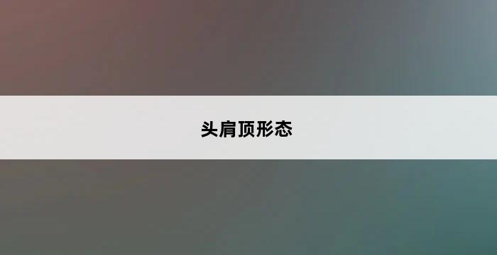 头肩顶形态 