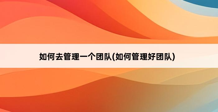 如何去管理一个团队(如何管理好团队) 