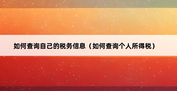 如何查询自己的税务信息（如何查询个人所得税） 