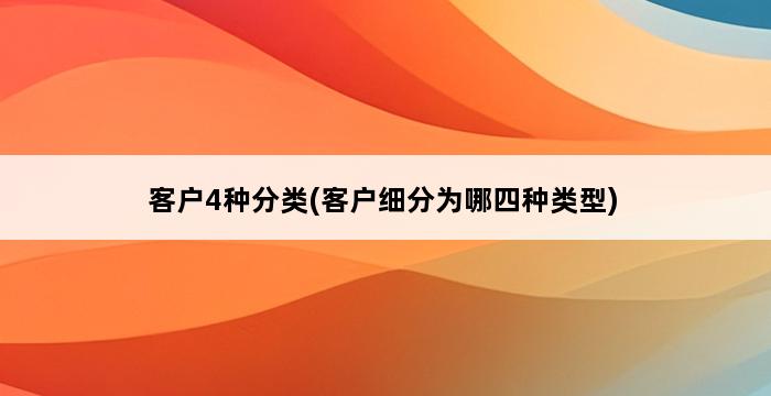 客户4种分类(客户细分为哪四种类型) 