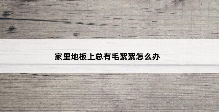 家里地板上总有毛絮絮怎么办 