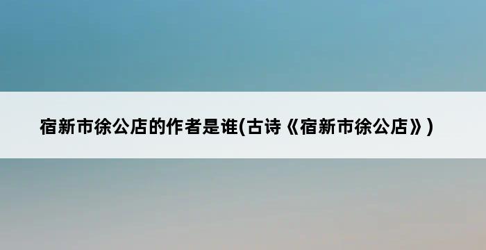 宿新市徐公店的作者是谁(古诗《宿新市徐公店》) 