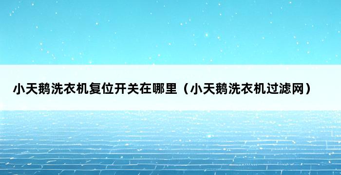 小天鹅洗衣机复位开关在哪里（小天鹅洗衣机过滤网） 