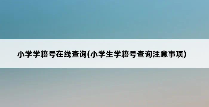 小学学籍号在线查询(小学生学籍号查询注意事项) 