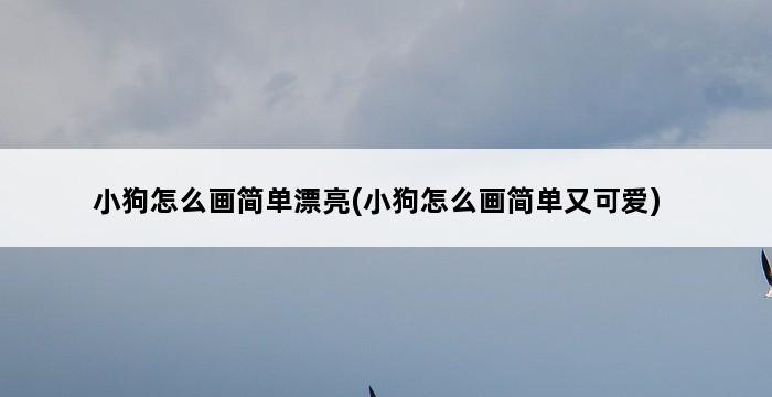 小狗怎么画简单漂亮(小狗怎么画简单又可爱) 