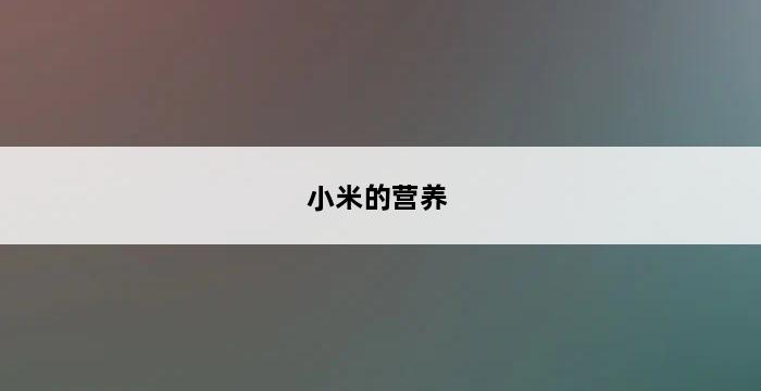 小米的营养 