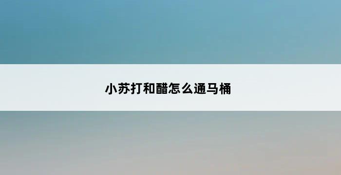 小苏打和醋怎么通马桶 