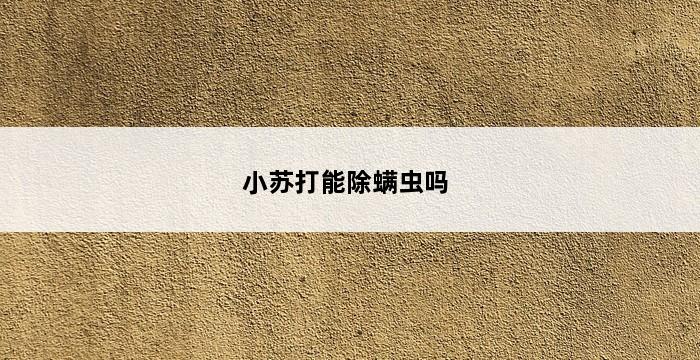 小苏打能除螨虫吗 