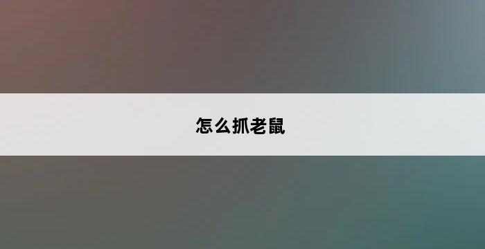 怎么抓老鼠 