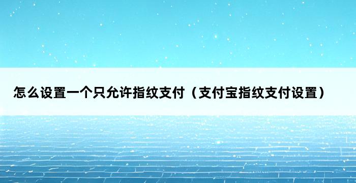 怎么设置一个只允许指纹支付（支付宝指纹支付设置） 