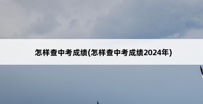 怎样查中考成绩(怎样查中考成绩2024年) 