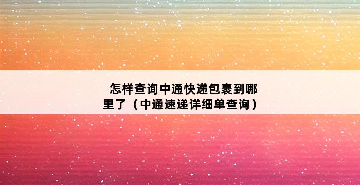 怎样查询中通快递包裹到哪里了（中通速递详细单查询） 