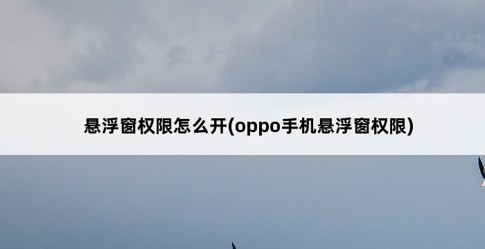 悬浮窗权限怎么开(oppo手机悬浮窗权限) 