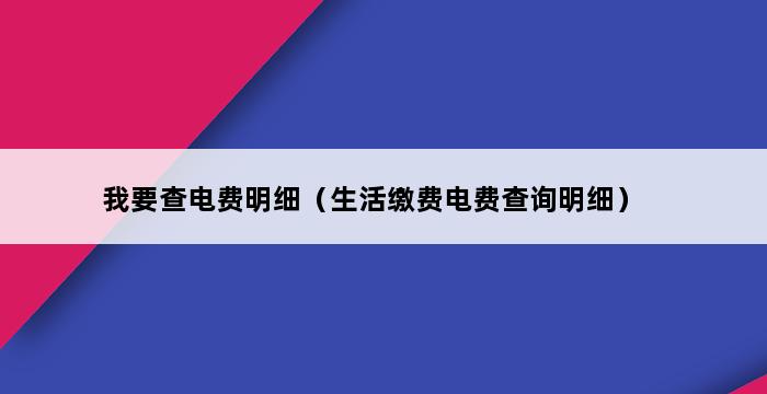 我要查电费明细（生活缴费电费查询明细） 