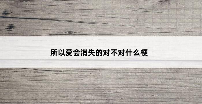 所以爱会消失的对不对什么梗 