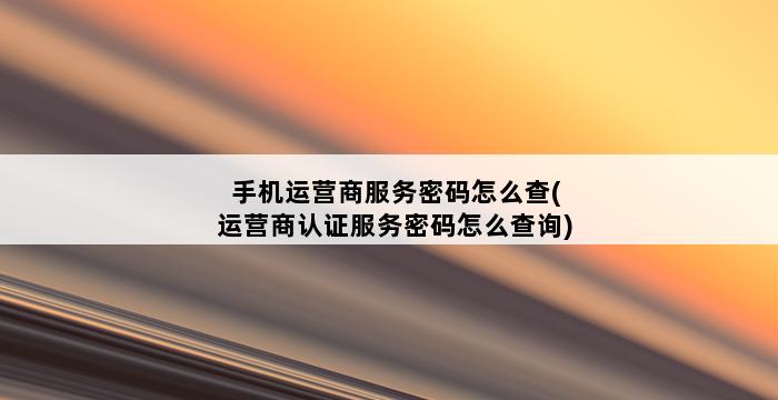 手机运营商服务密码怎么查(运营商认证服务密码怎么查询) 