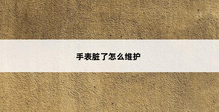 手表脏了怎么维护 