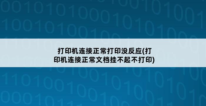 打印机连接正常打印没反应(打印机连接正常文档挂不起不打印) 