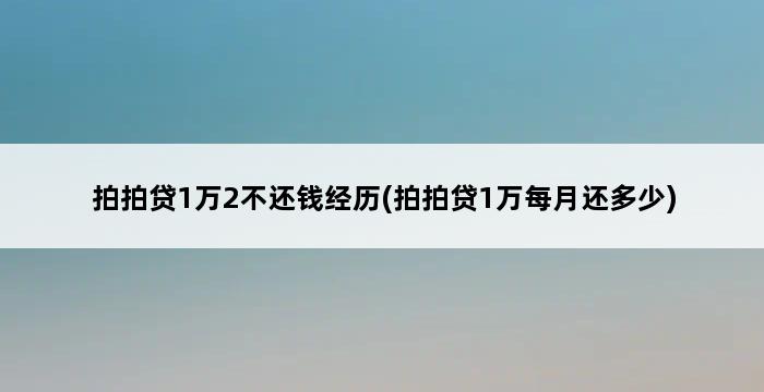 拍拍贷1万2不还钱经历(拍拍贷1万每月还多少) 