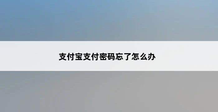 支付宝支付密码忘了怎么办 