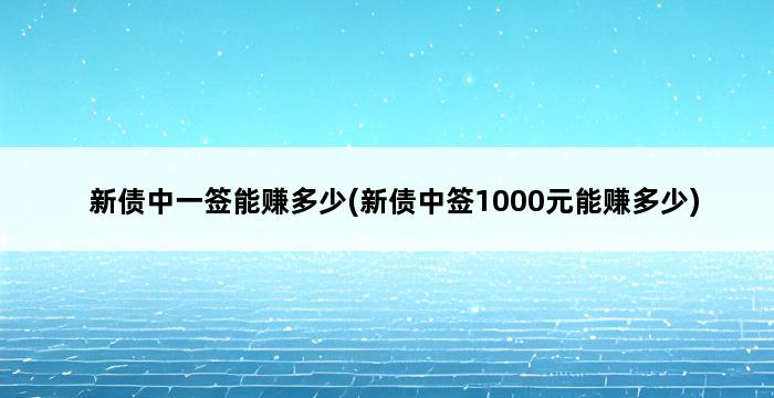 新债中一签能赚多少(新债中签1000元能赚多少) 