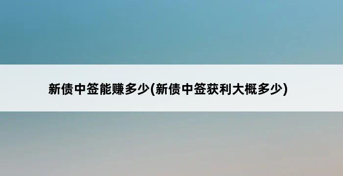 新债中签能赚多少(新债中签获利大概多少) 