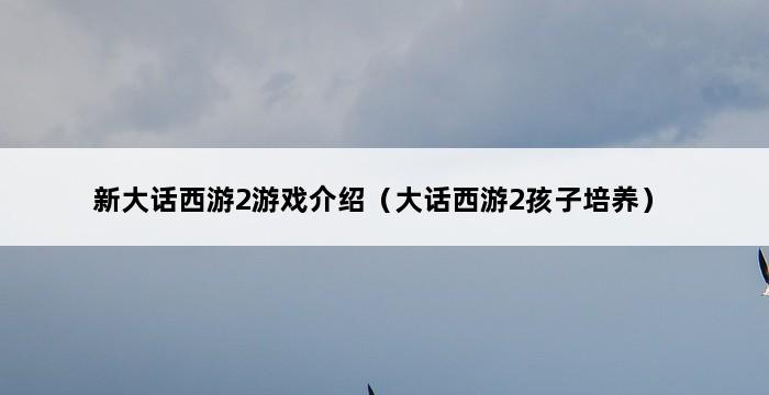 新大话西游2游戏介绍（大话西游2孩子培养） 