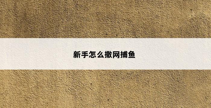 新手怎么撒网捕鱼 