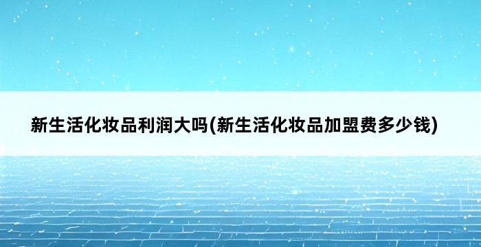 新生活化妆品利润大吗(新生活化妆品加盟费多少钱) 