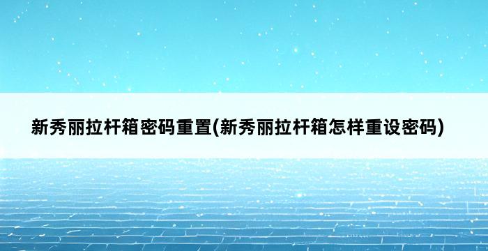 新秀丽拉杆箱密码重置(新秀丽拉杆箱怎样重设密码) 